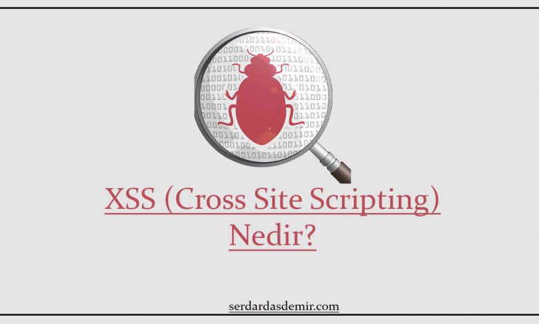 xss-nedir-türleri-nelerdir