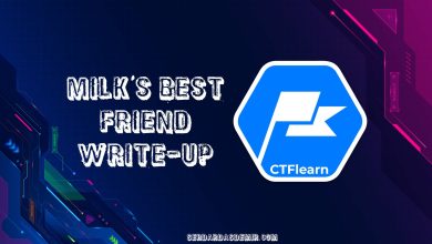 ctflearn-milks-best-friend