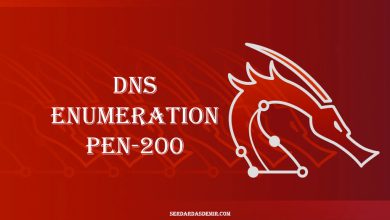 dns-enumeration-pen-200