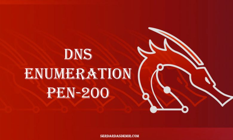 dns-enumeration-pen-200