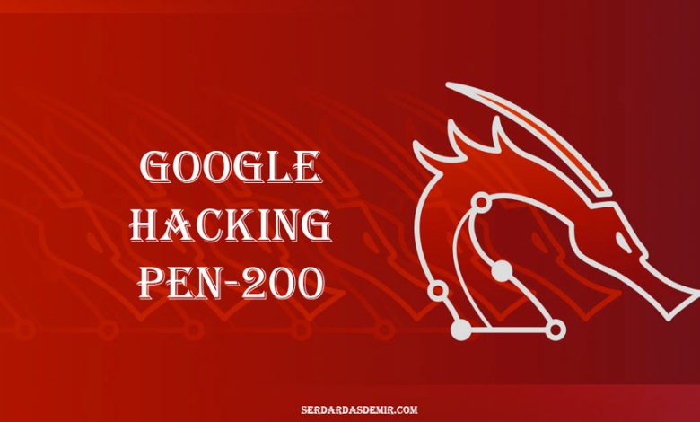 google-hacking-pen-200