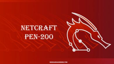 netcraft-pen-200