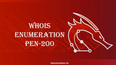 whois-enumeration-pen-200