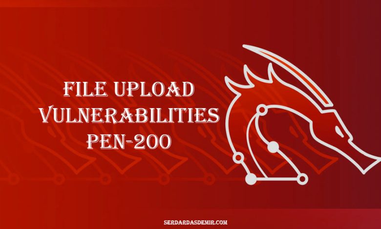 File-Upload-Vulnerabilities-Pen-200