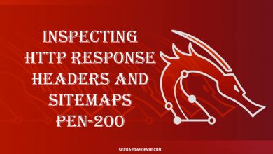 Inspecting-HTTP-Response-Headers-and-Sitemaps-PEN-200
