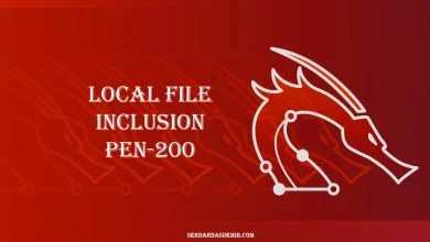 Local-File-Inclusion-PEN-200