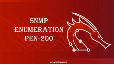 SNMP-Enumeration-PEN-200