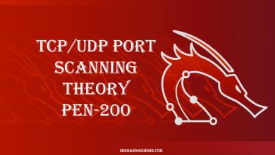 TCP-UDP-Port-Scanning-Theory-pen-200